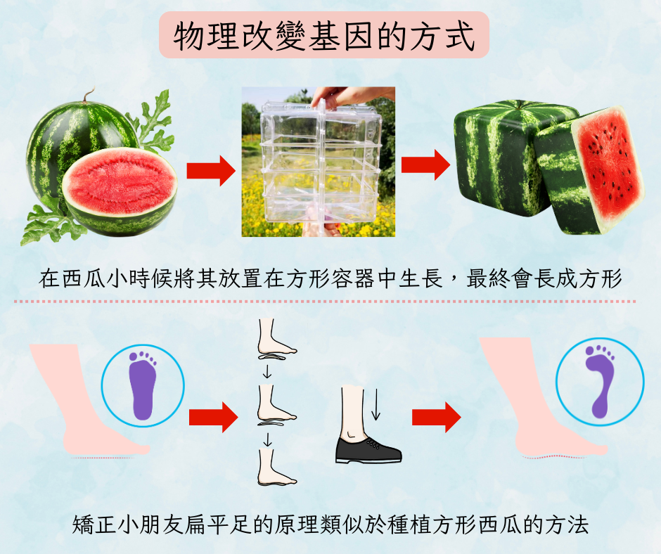 物理改變基因的方式